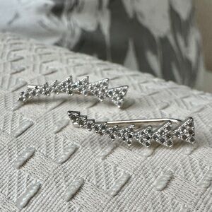 Stella & Dot earrings